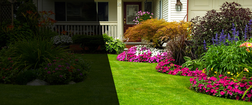 Franktown Landscapers