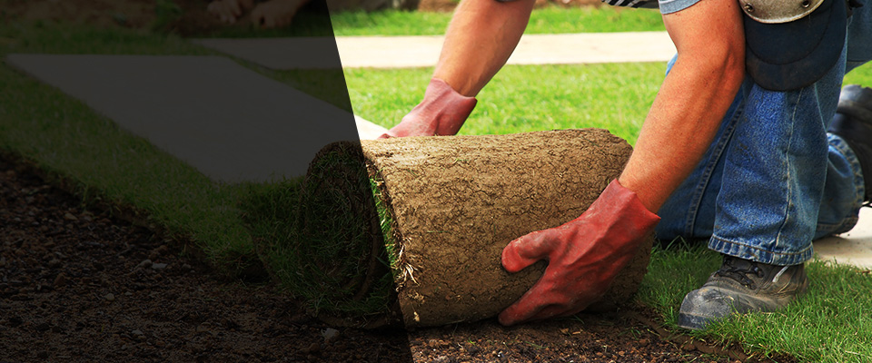 Franktown Landscapers